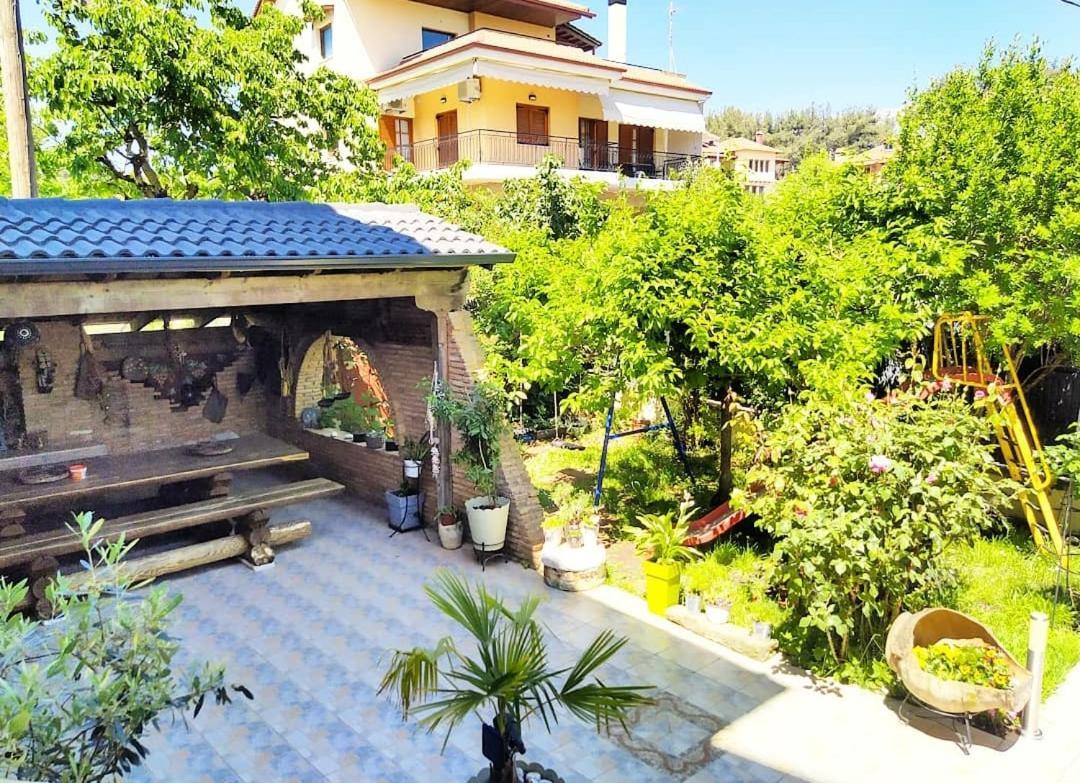 Alexandras Cozy Apartment Ιωάννινα Εξωτερικό φωτογραφία