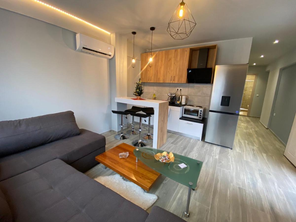 Alexandras Cozy Apartment Ιωάννινα Εξωτερικό φωτογραφία
